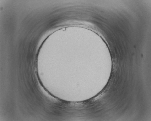 X0000062901531200602101754