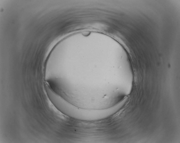 X0000062901532200602101754