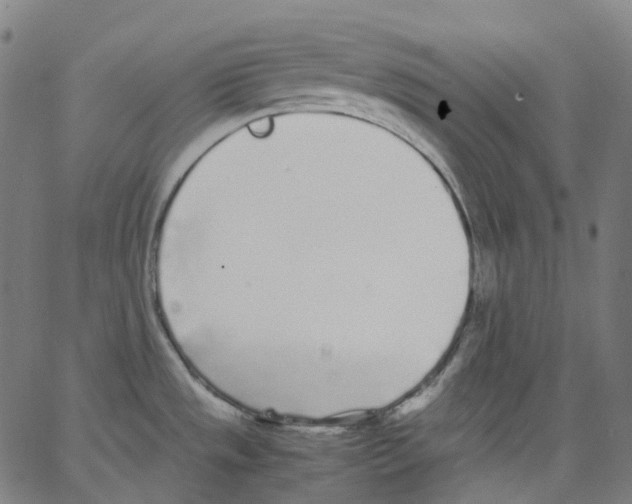 X0000062901533200602101754