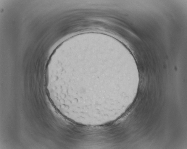 X0000062901534200602101754