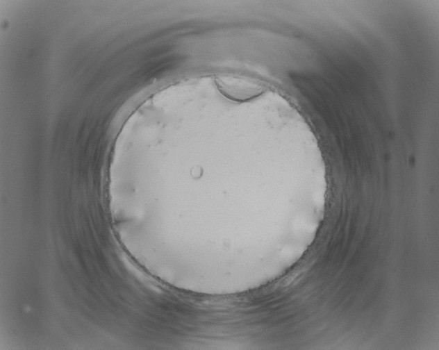 X0000062901535200602101754