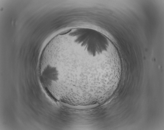 X0000062901536200602101754