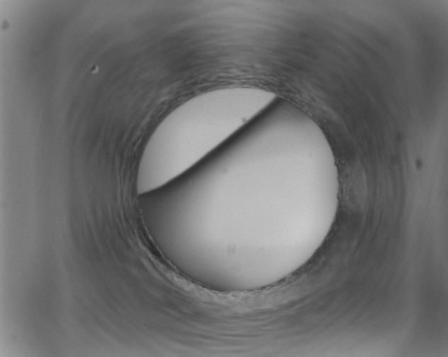 X0000062910038200601131117