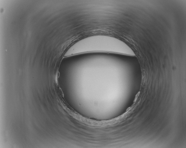 X0000062910047200601131117