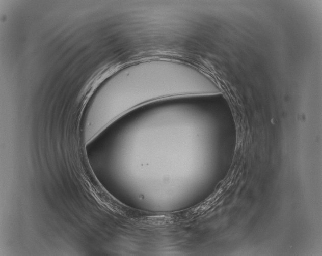 X0000062910050200601131117