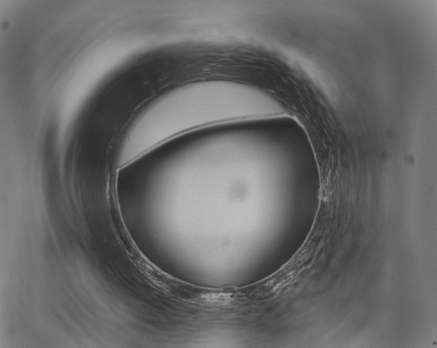 X0000062910052200601131117
