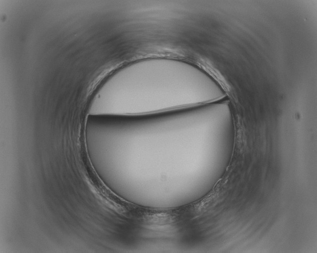 X0000062910058200601131117