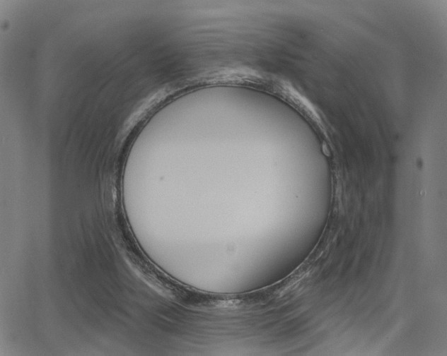 X0000062910059200601131117