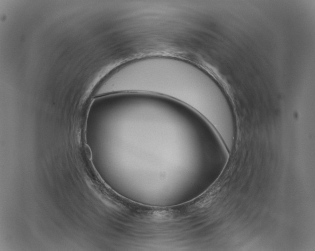 X0000062910060200601131117