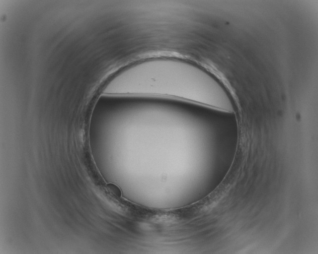 X0000062910063200601131117