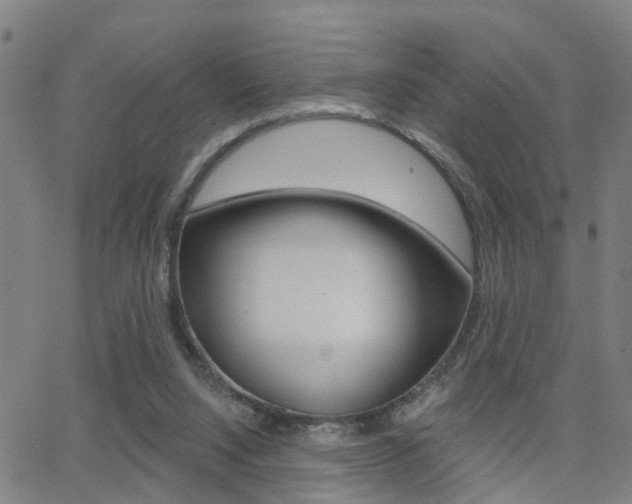 X0000062910064200601131117