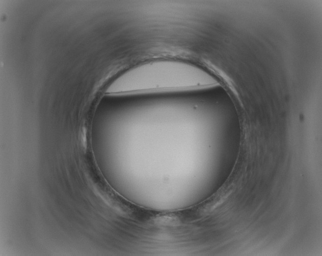 X0000062910067200601131117