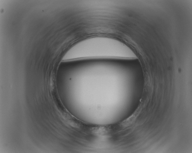 X0000062910074200601131117