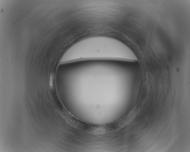 X0000062910075200601131117