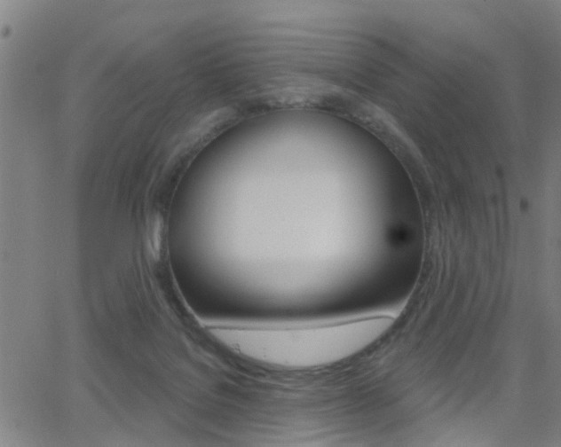 X0000062910076200601131117