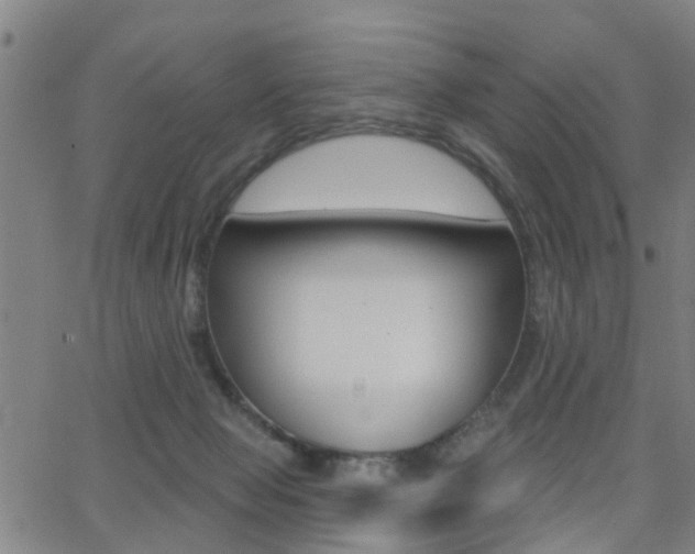 X0000062910077200601131117