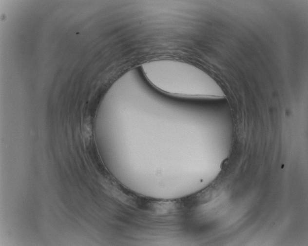 X0000062910085200601131117