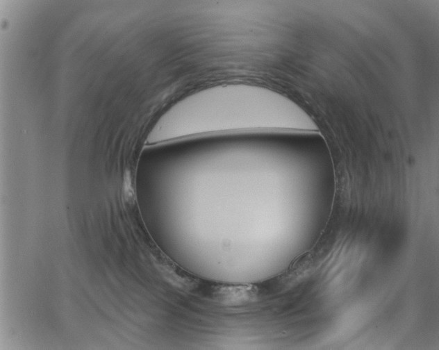 X0000062910089200601131117