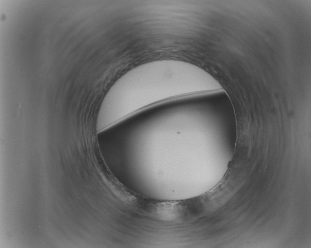 X0000062910090200601131117