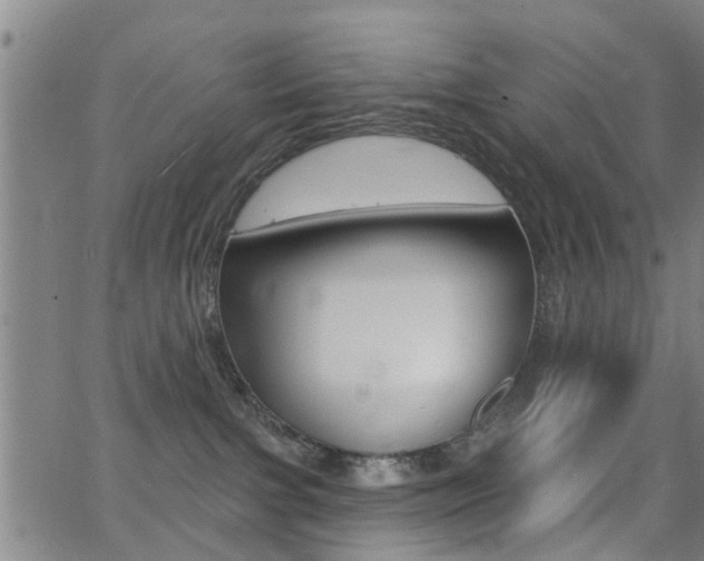 X0000062910091200601131117