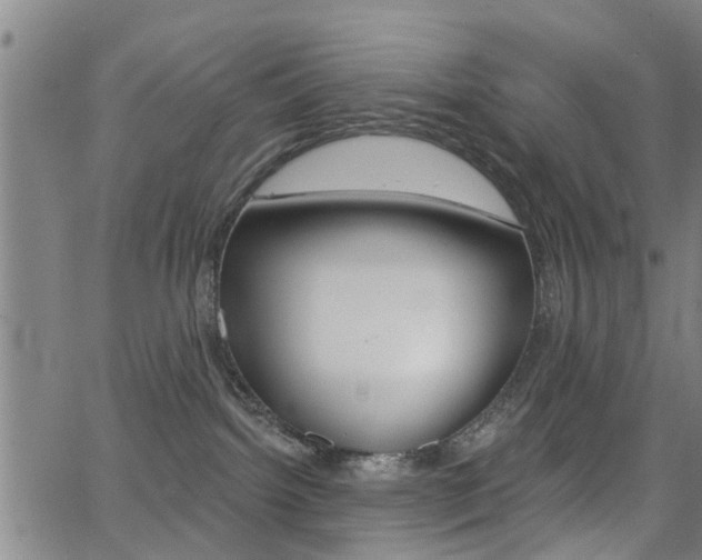 X0000062910092200601131117