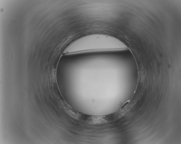 X0000062910093200601131117