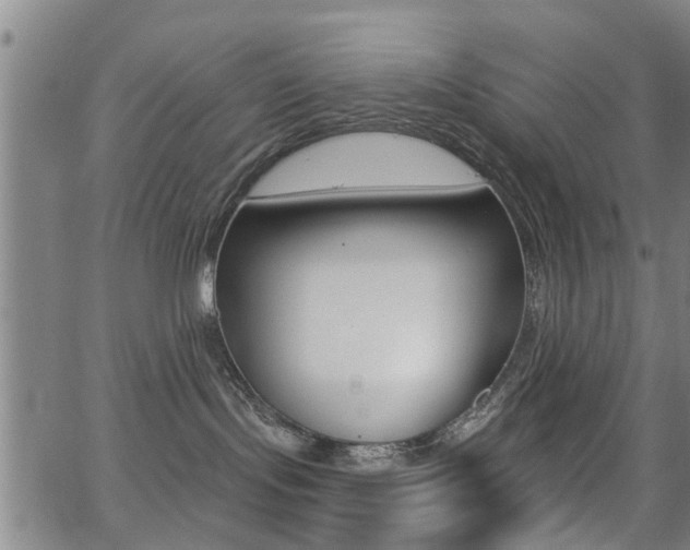 X0000062910095200601131117