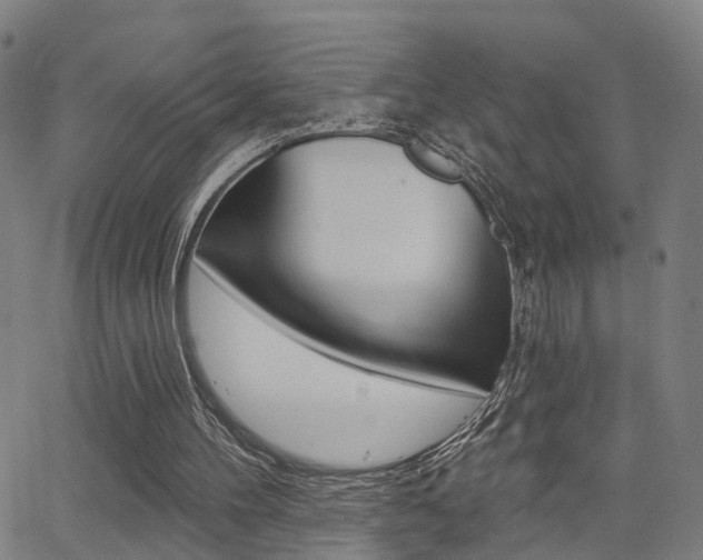 X0000062910100200601131116