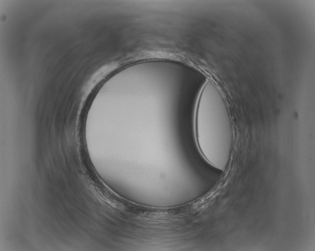 X0000062910104200601131116