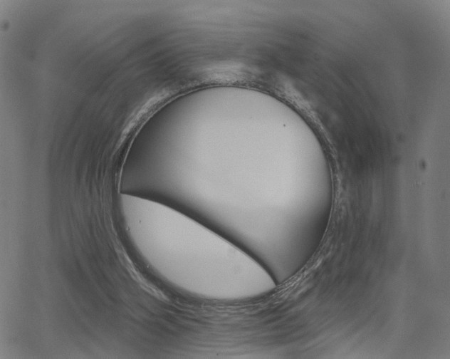 X0000062910106200601131116
