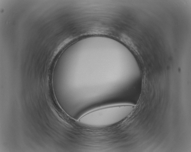 X0000062910108200601131116