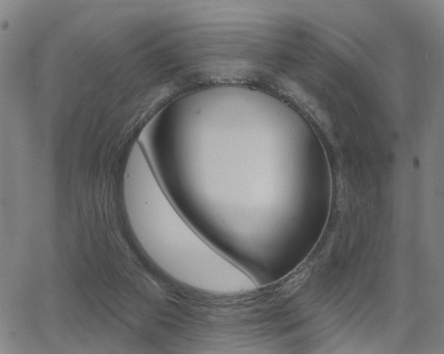 X0000062910113200601131116