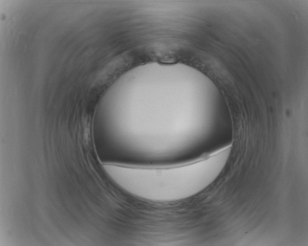 X0000062910129200601131116