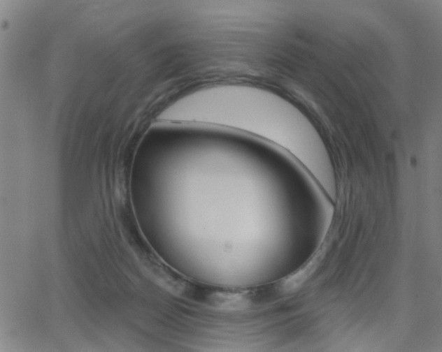 X0000062910170200601131115