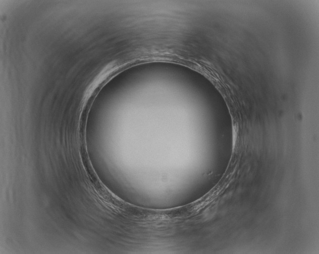 X0000062910195200601131115