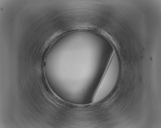 X0000062910203200601131115