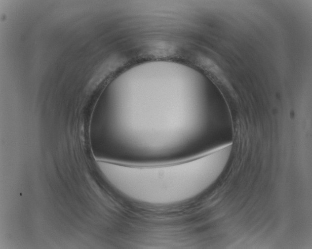 X0000062910212200601131115