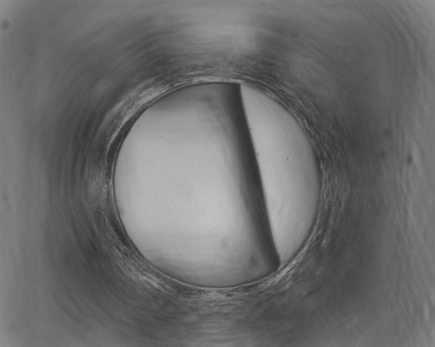 X0000062910290200601131113