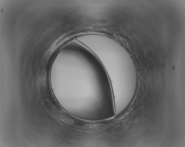 X0000062910295200601131113