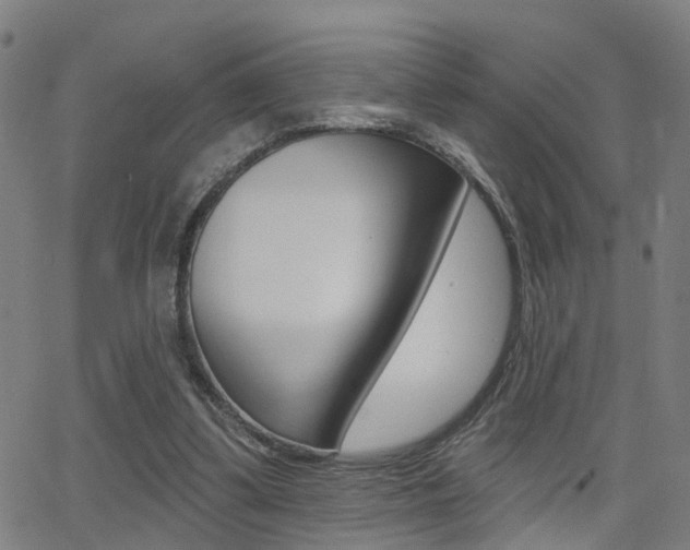 X0000062910299200601131113