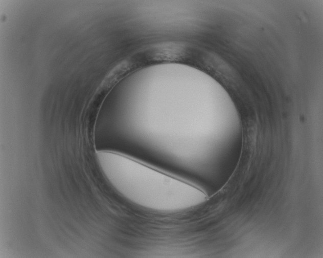 X0000062910312200601131113