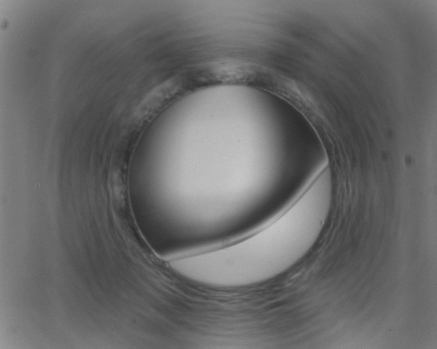 X0000062910317200601131113