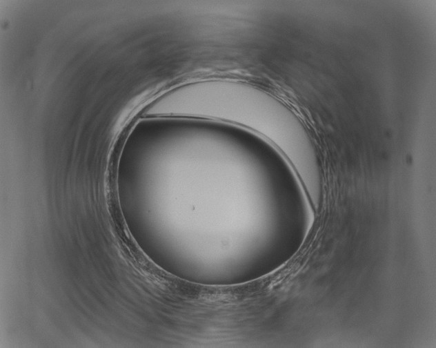 X0000062910340200601131112