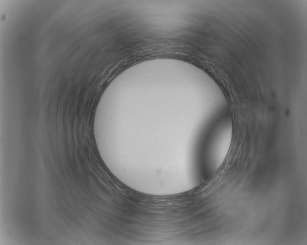 X0000062910384200601131113