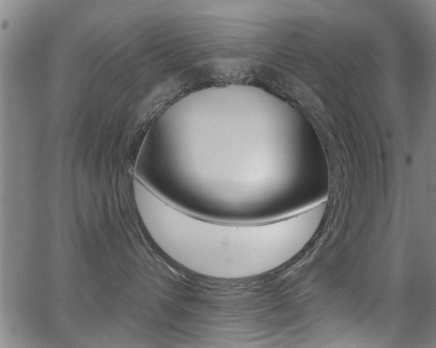 X0000062910432200601131111