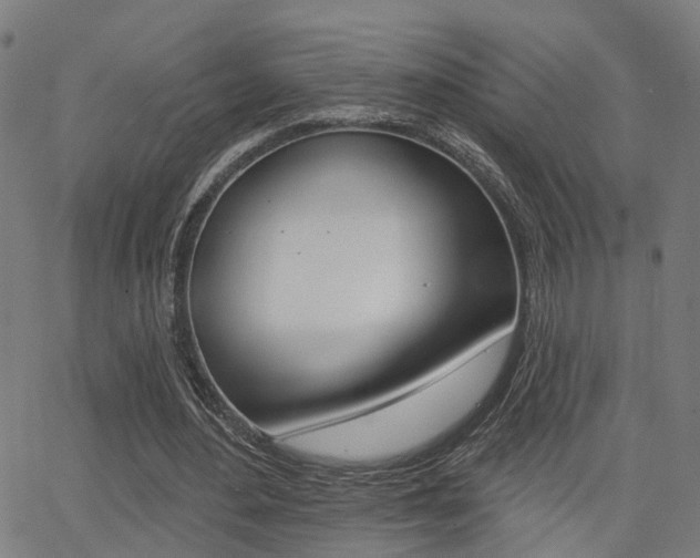 X0000062910484200601131110
