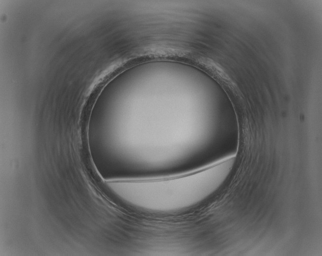 X0000062910488200601131110