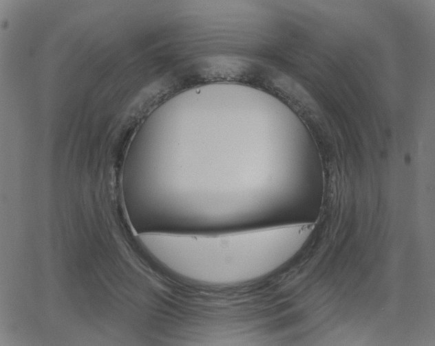 X0000062910498200601131110