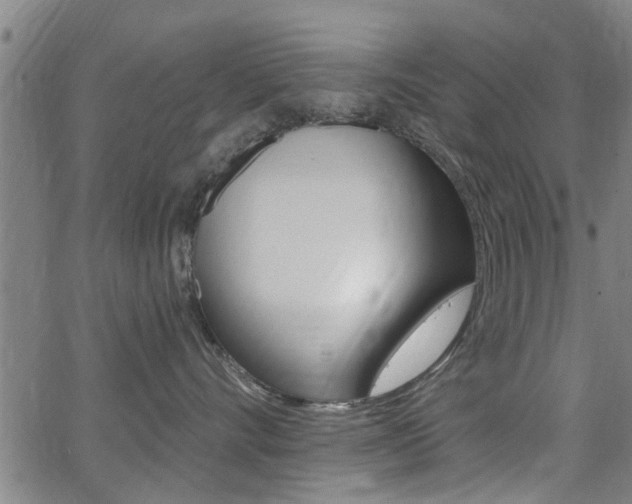 X0000062910528200601131109