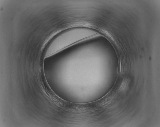 X0000062910531200601131108